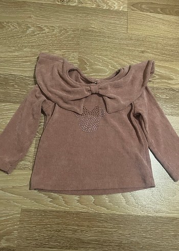 Walt Disney World 24-36 Ay