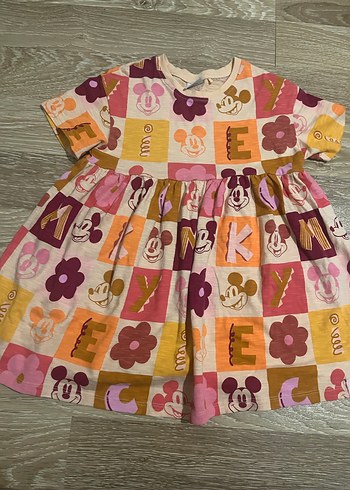 Walt Disney World Standart Beden