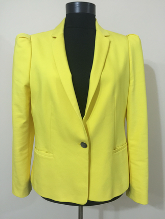 Zara Ceket