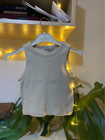 Zara crop