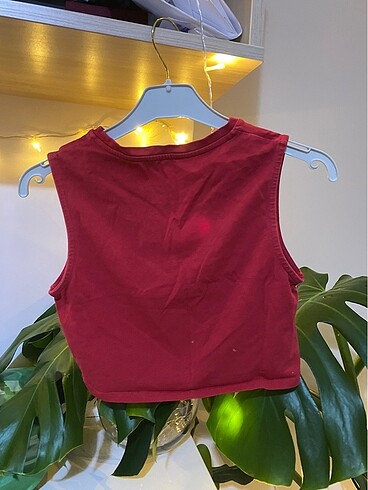 Collezione Crop üst
