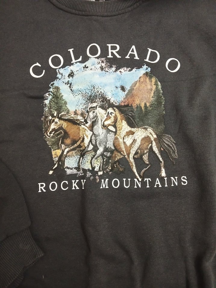 Baskılı Kadın Sweatshirt - Görsel 2