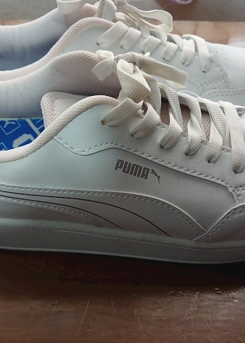 Puma 38