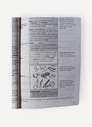 Longman New Junior İngilizce Sözlük - Görsel 5