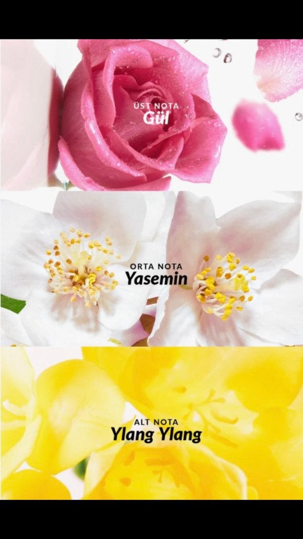 Avon Soft Musk Kadın Parfümü - Görsel 4