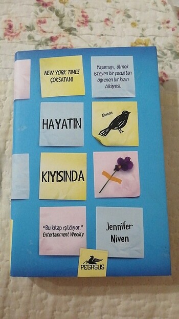 Hayatın Kıyısında