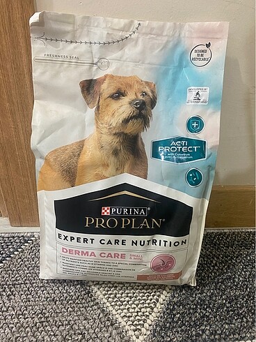 Köpek maması