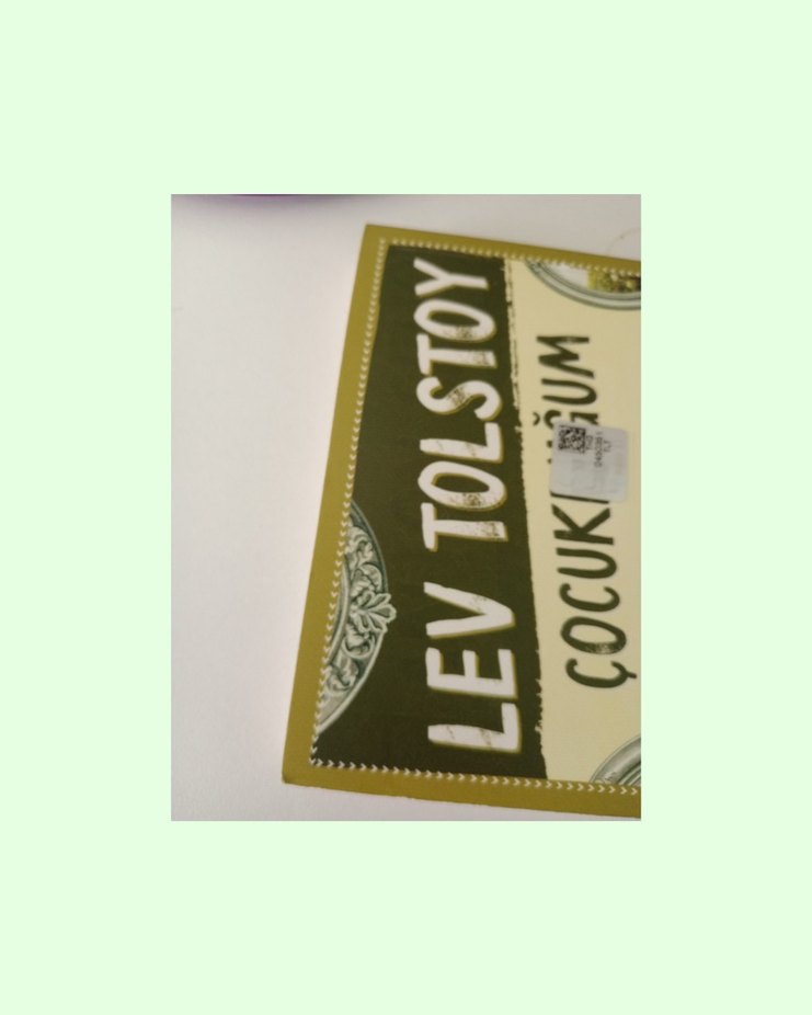 Lev Tolstoy - Çocukluğum - Görsel 5