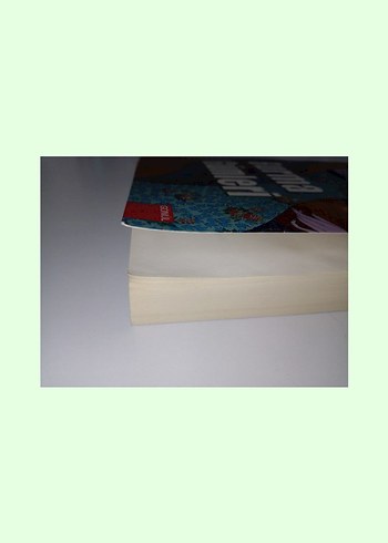 Roman: Burma Günleri / George Orwell - Görsel 5