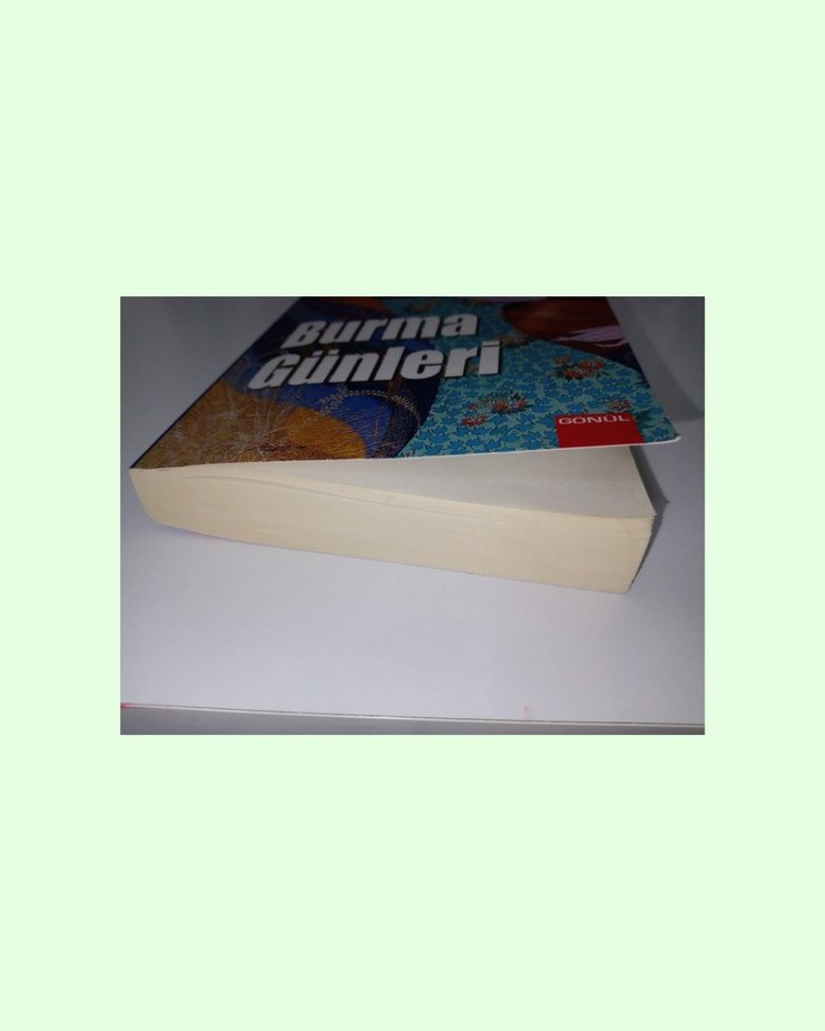 Roman: Burma Günleri / George Orwell - Görsel 4