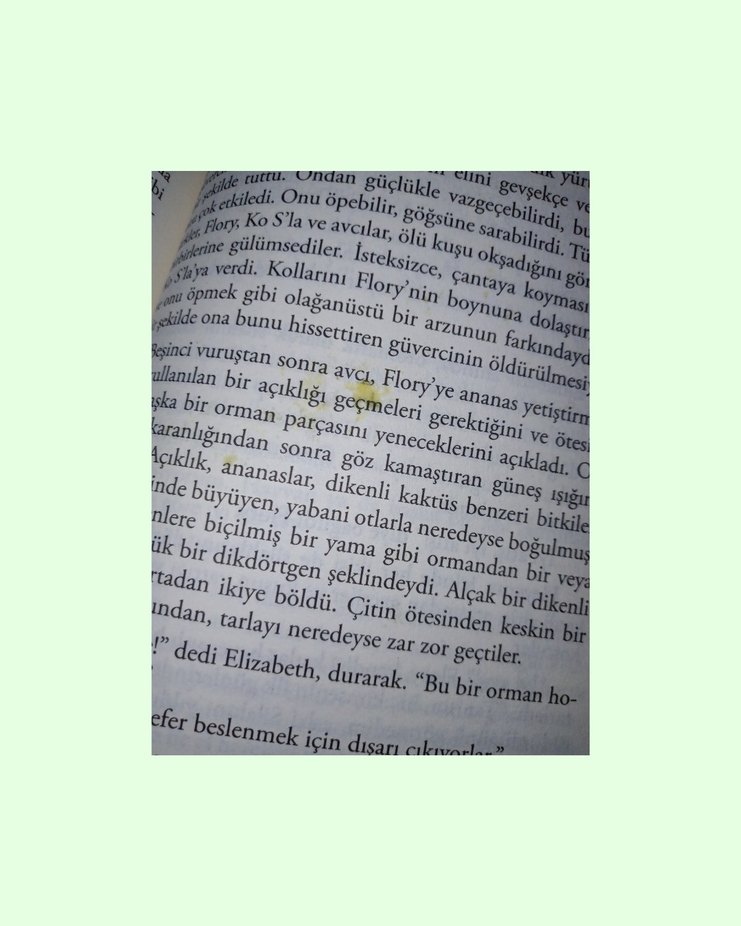 Roman: Burma Günleri / George Orwell - Görsel 3