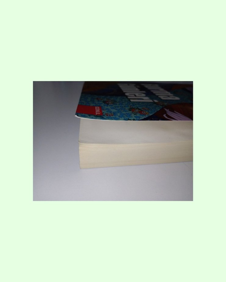 Roman: Burma Günleri / George Orwell - Görsel 5