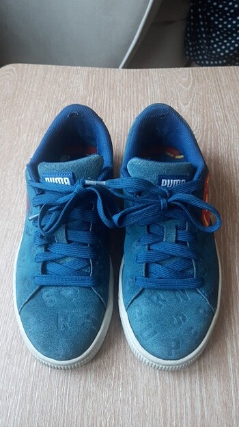 Puma erkek