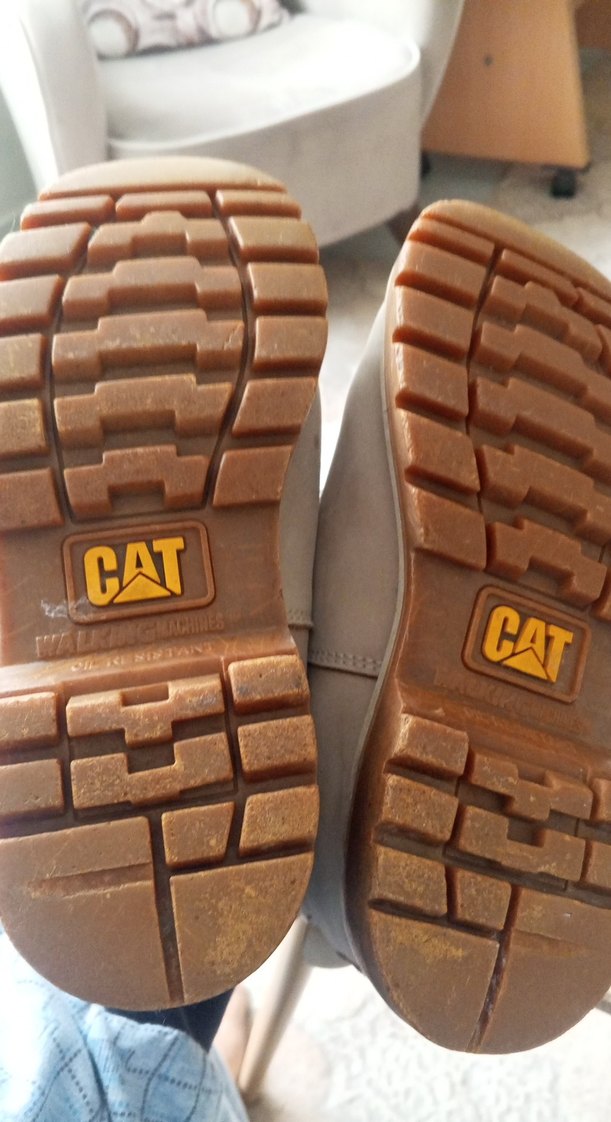 Cat Bej Erkek Ayakkabı Bağcıkları - Görsel 5