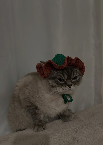 Örgü Kedi Şapkası - Görsel 2