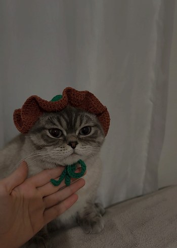 Örgü Kedi Şapkası - Görsel 4