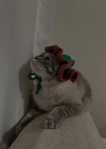 Örgü Kedi Şapkası - Görsel 3