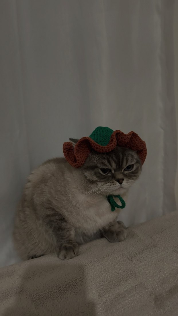 Örgü Kedi Şapkası - Görsel 2