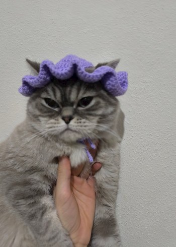 Gri Kedi Şapkası Örgü Detaylı - Görsel 3