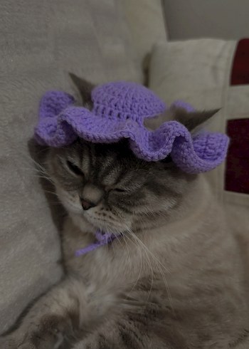 Gri Kedi Şapkası Örgü Detaylı - Görsel 2