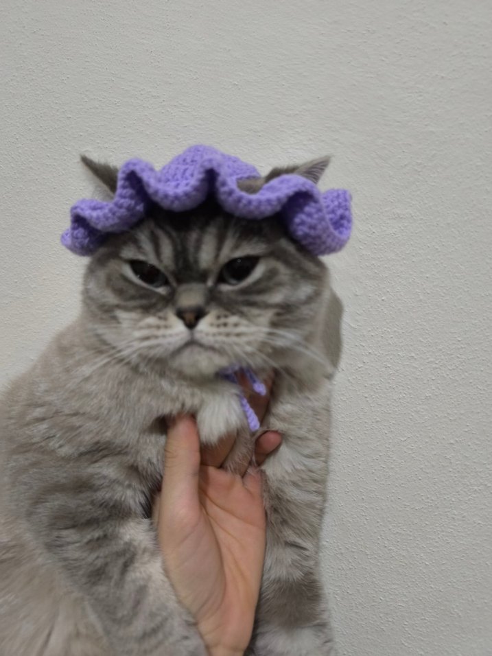 Gri Kedi Şapkası Örgü Detaylı - Görsel 3