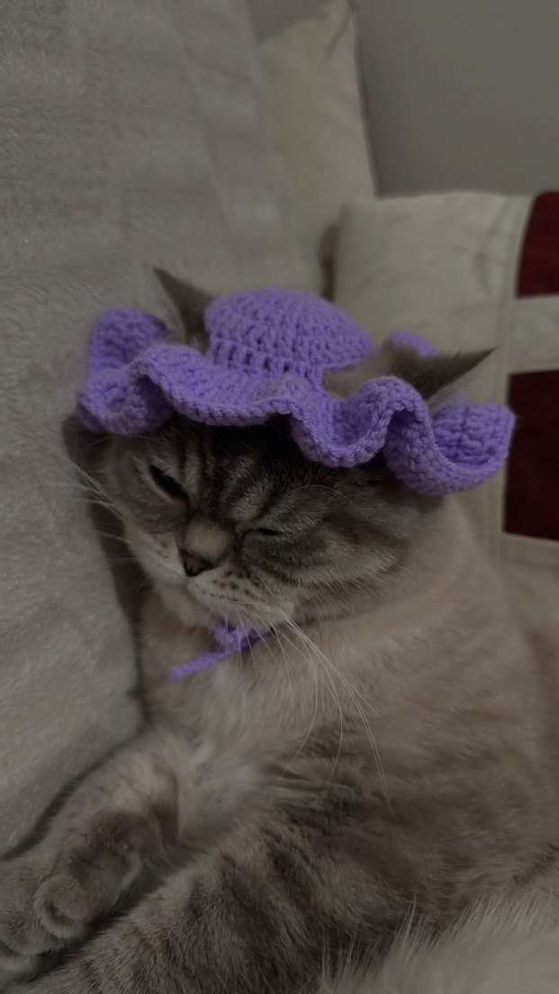 Gri Kedi Şapkası Örgü Detaylı - Görsel 2