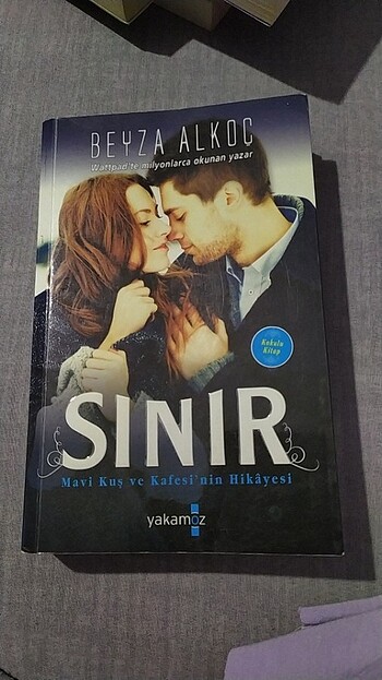 Sinir 
