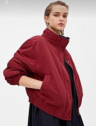 pull and bear bordo mont