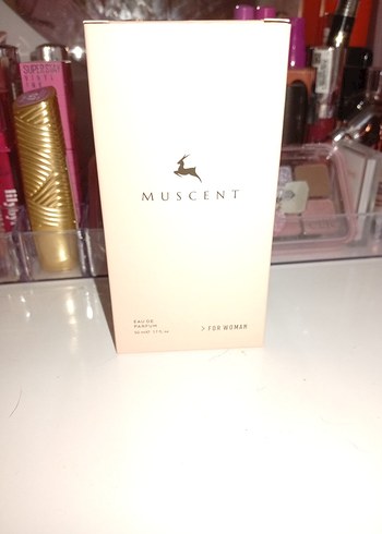 Muscent La Nuit Tresor A La Folie