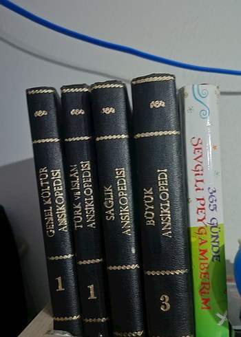 1984 ten kalma Ansiklopedi