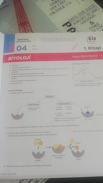  Beden Renk 2024 basım kullanımamış yepyeni kitap