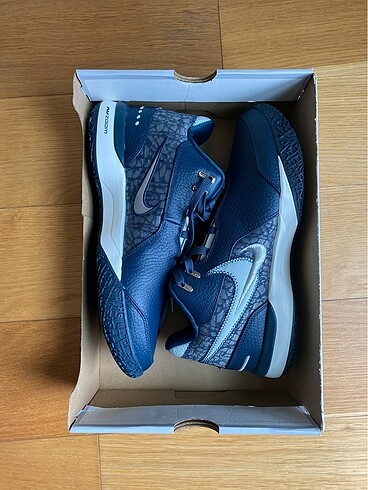 LeBron NXXT GEN AMPD
