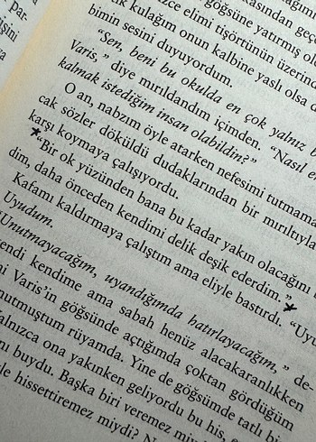 Beden Kül Kelebek - Beyza Aksoy