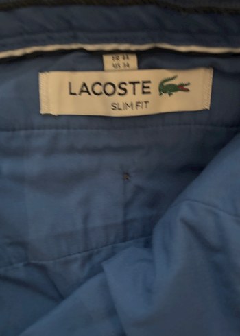 Lacoste l