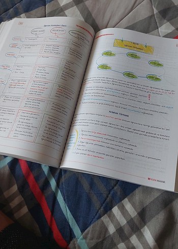 Beden Renk KPSS Eğitim Bilimleri Konu Anlatımlı Tek Kitap 2023