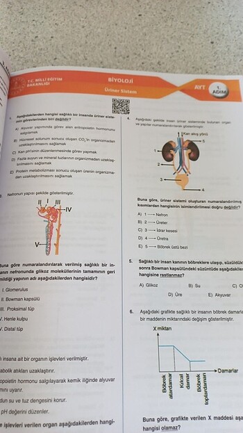 Beden 3 ADIM AYT BIYOLOJI