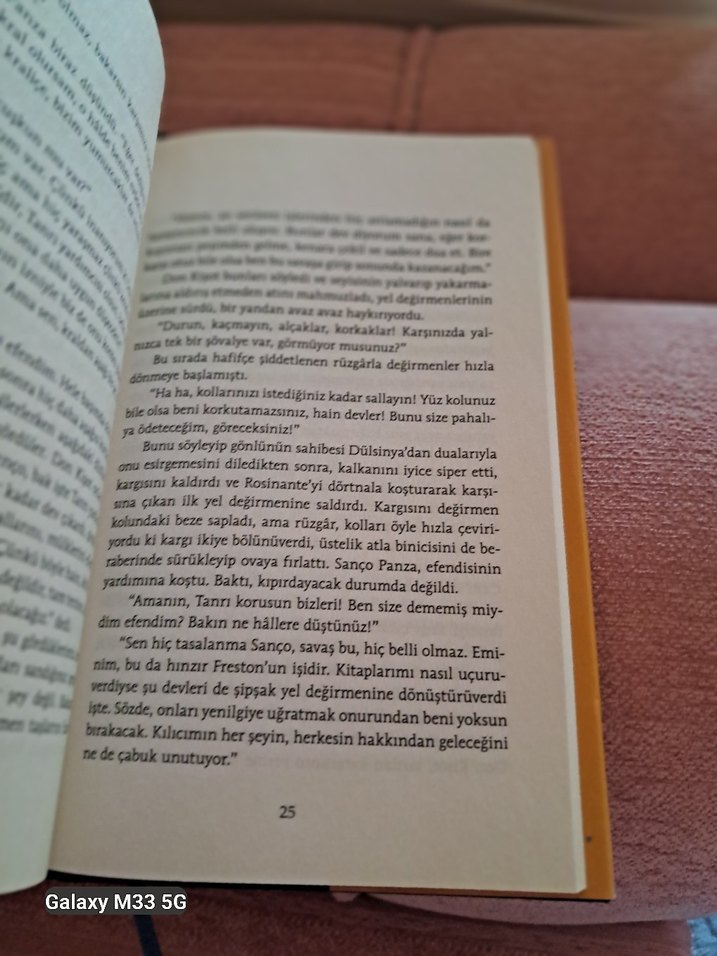 Don Kişot - Cervantes - Görsel 3