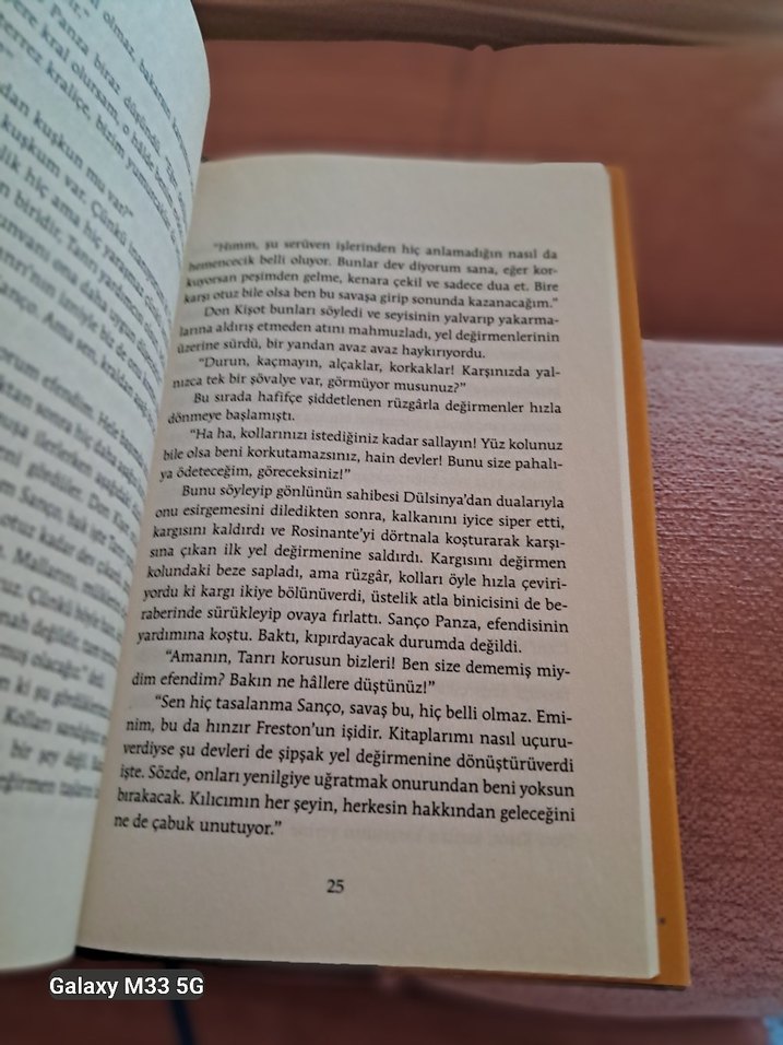 Don Kişot - Cervantes - Görsel 2