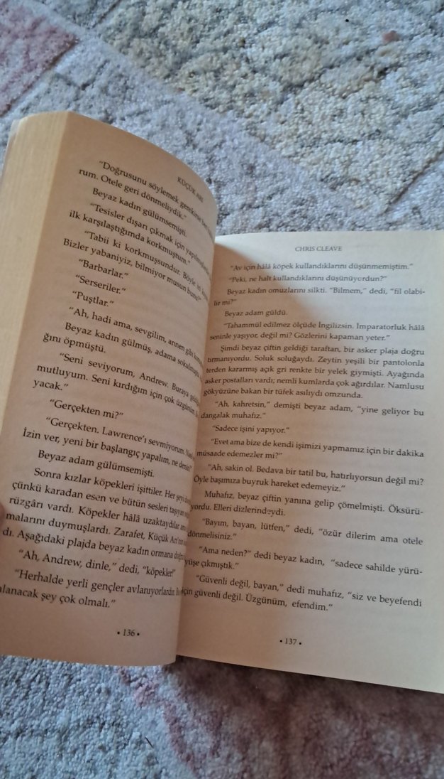 Küçük Arı - Chris Cleave - Görsel 2