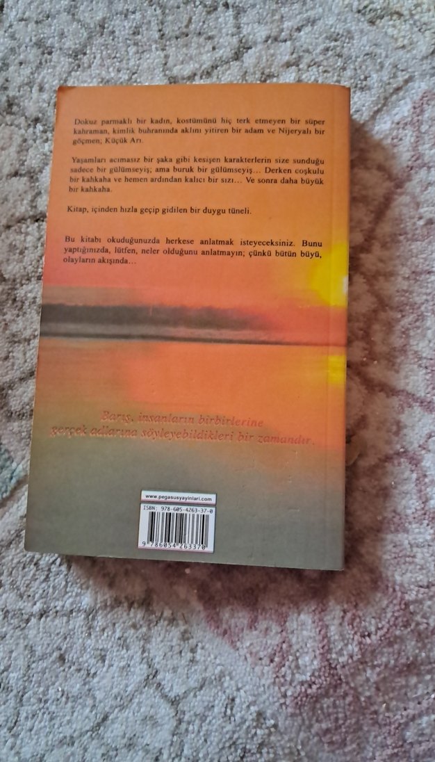 Küçük Arı - Chris Cleave - Görsel 4