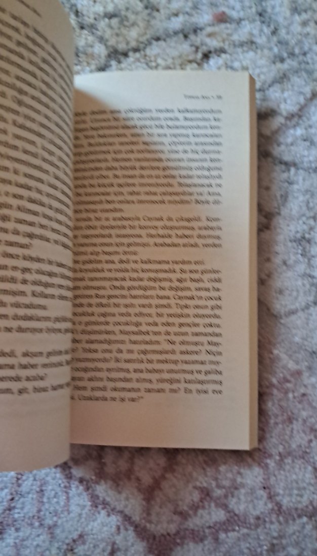 Toprak Ana - Cengiz Aytmatov Romanı - Görsel 2