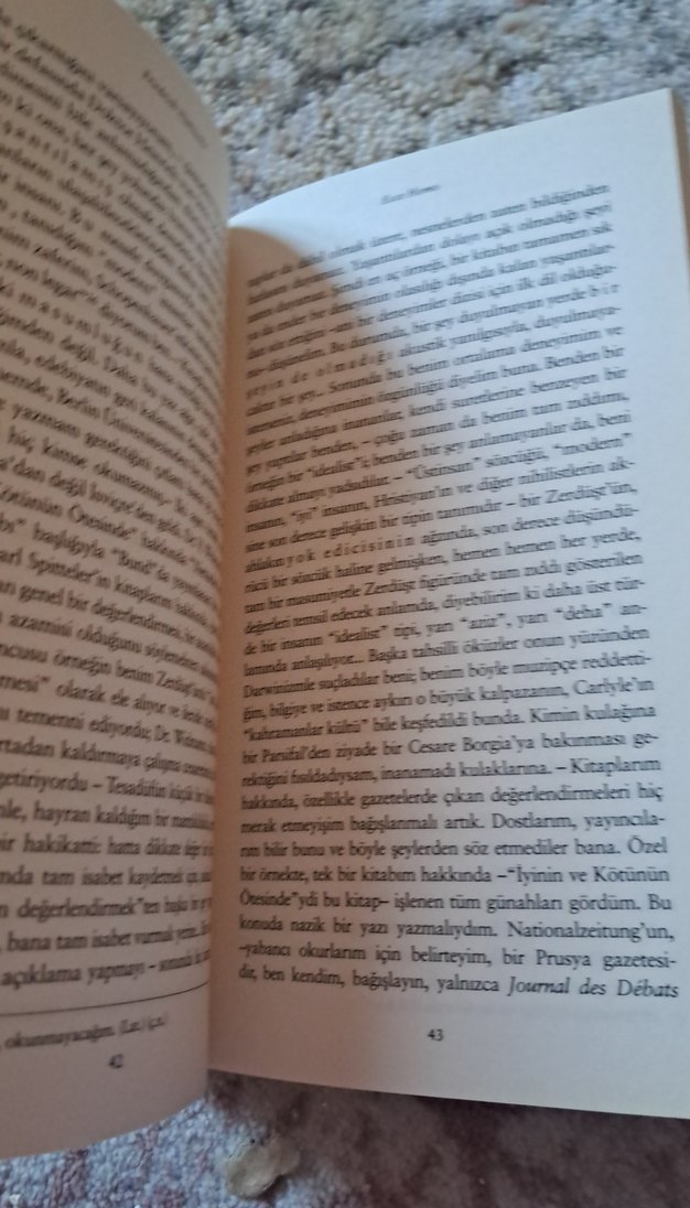 Friedrich Nietzsche - Ecce Homo - Görsel 2