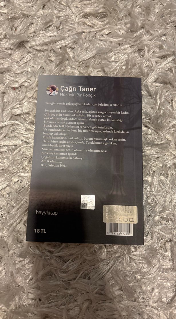 Hüzünlü Bir Poncik - Çağrı Taner - Görsel 2