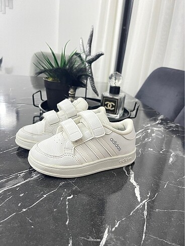 24 no adidas