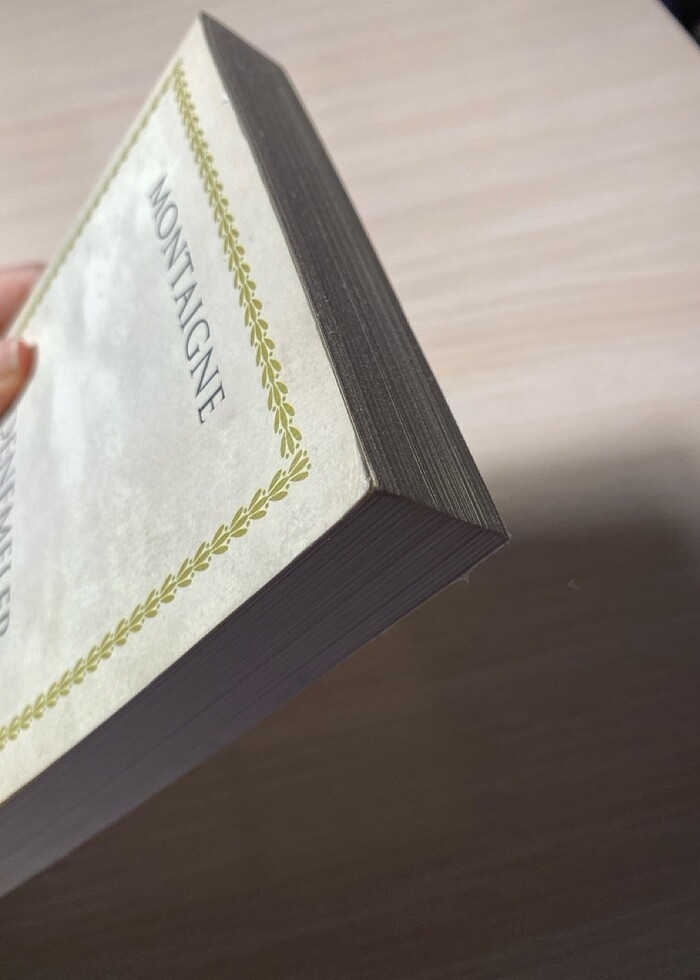 Montaigne Denemeler - Görsel 3