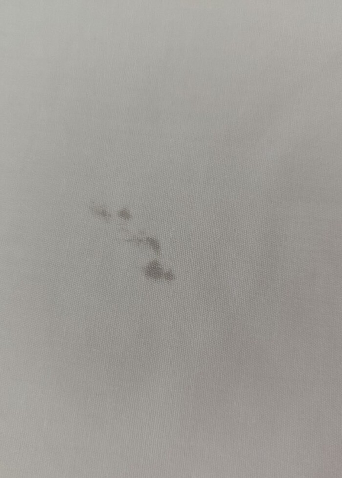 Süvari Erkek Beyaz Gömlek  - Görsel 5