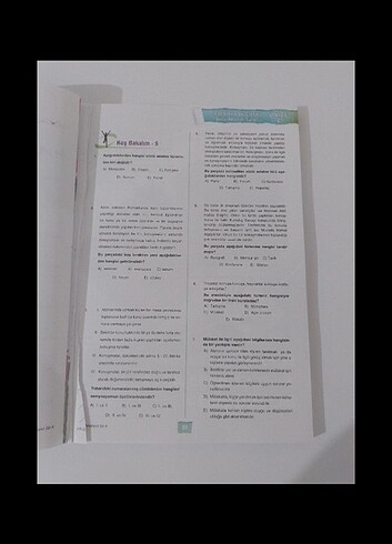  Beden Test kitapı