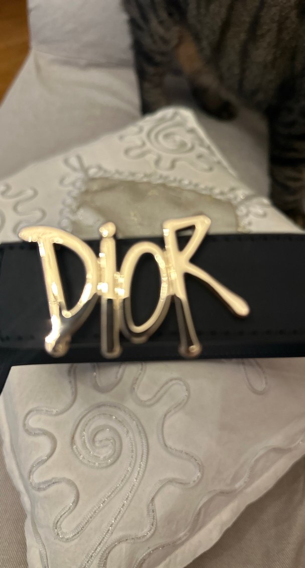 Dior Kadın Deri Kemer Altın Tokalı - Görsel 2