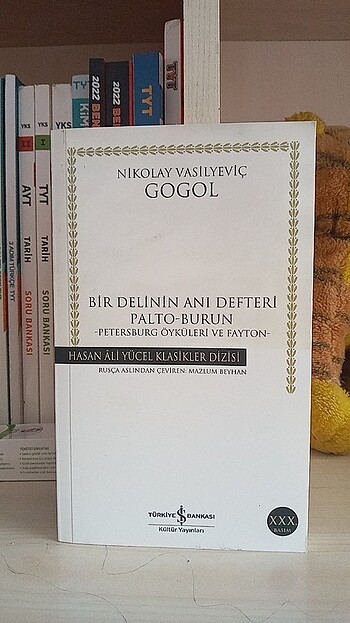 Bir delinin anı defteri