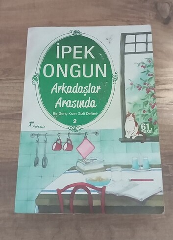 Genç Bir Kızın Gizli Defteri #2